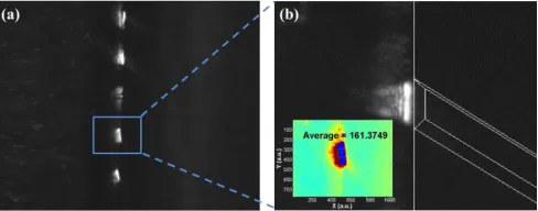 Fig. 13: (a) A schematic showing the optical setup to image the optical field output signal