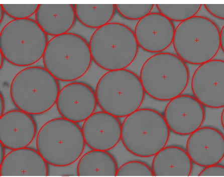 Figure 2.6: Camera image of the particles, overlaid with the locations found with theHough code [110].