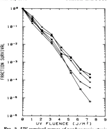 FIG. 3.AB1886active UV survival curves of nonlysogenic strain and its sublines containing one or more cI genomes of A