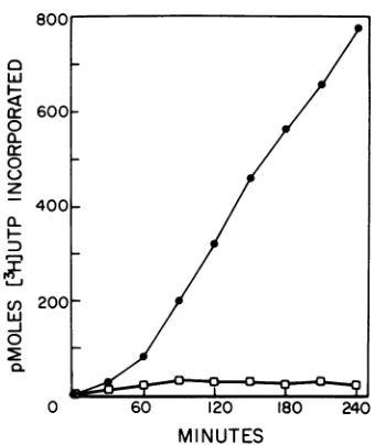 FIG.MINUTES a 1. RNA synthesis directed by vaccinia virus wheat germ cell-free translation system