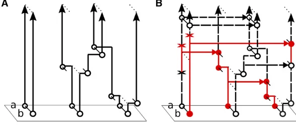 Figure 3) events. (B) The fullprocessﬁc types. (A) The process and/ed aa b; and b f types, and pairs of) and recoalescence ( M~tgt # 0 including copying, mutation, recombina-gcopying and mutation