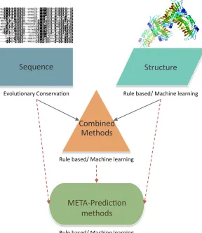 Figure 1 An overview of methods for predicting effects ofNSVs. “Core” methods based on sequence (evolutionaryconservation) and structure analysis can be combined intoa multi-feature prediction method, or predictions from dif-ferent individual methods can be used to make an overallmeta-prediction.