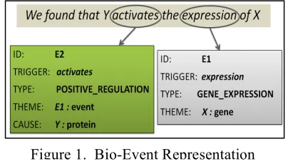 Figure 1.  Bio-Event Representation 