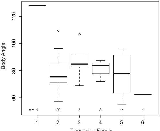 Figure S2 Box plot showing body angle in CMV:Eda transgenic fish as a function of founder or 