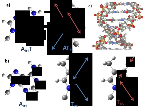 Figure 2: Schematic representation of the vibrational modes of a) W-C base pairs and b) individual bases as used in the text