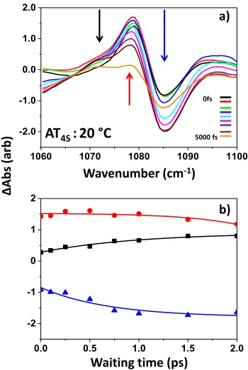 Figure 5: a) Slices through two-color 2D-IR spectra as a function of waiting time showing the peak shape evolution of the off-diagonal peaks to the P2 mode