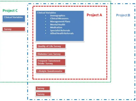 Figure 3: The Relationship Between Projects within the Public Health Research Data Management System