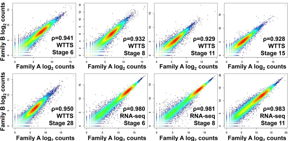 Figure 6 Biological replicate test. Spearmanfamily B at’s rank correlations of WTTS-seq between estimated log2 counts in embryos collected from family A and ﬁve developmental stages (6, 8, 11, 15, and 28) and RNA-seq between estimated log2 counts in embryos collected from family A and family Bat three developmental stages (6, 8, and 11).