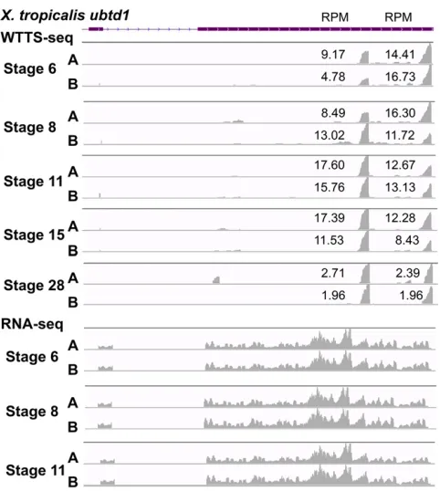 Figure 8 APA patterns during embryo development are revealed byWTTS-seq but not by RNA-seq