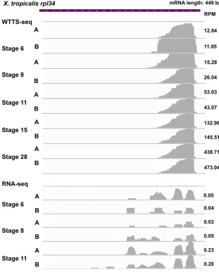 Figure 9 Expression of short transcript is well de-to biases in RNA-seq libraries (see RPM values in theﬁtected by WTTS-seq but biased by RNA-seq
