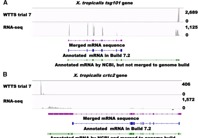 Figure 4 Incomplete genome assembly (A), incom-plete gene annotation (B), and missing data forWTTS-seq analysis