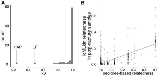 Figure 3 Increased sequencing effort produces in-and Smith 2013)]. More complex libraries (creased numbers of nonduplicate reads