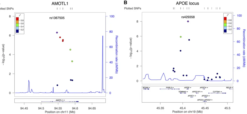Figure 1 LocusZoom for two loci (A AMOTL1 and B APOE) identiﬁed by aSPUset and MDMR. LD structure in each locus and P-values obtained from thesingle SNP-based aSPU test are presented.