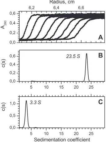 FIG 4 Electron microscopic images of the puriﬁed recombinant gp146 nega-tively stained with 1% uranyl acetate