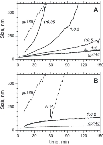 FIG 9 Effect of gp146 on the aggregation of gp188* (3 �M) at 45°C in thepresence of 1.2 mM ATP (A) and in the absence of ATP (B)