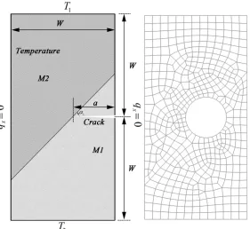 Fig.8 A bimaterial edge crack in a rectangular plate and the FE mesh 