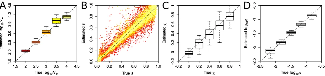 Figure S4: Accuracy in inferring demographic and selection parameters using the PLSD, respectively)