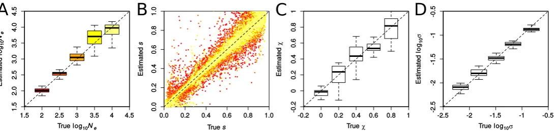 Figure S5: Accuracy in inferring demographic and selection parameters using the PLSD, respectively)