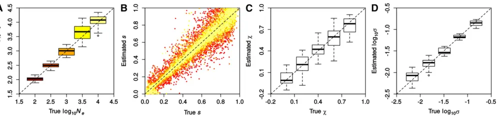 Figure 3 Accuracy in inferring demographic and selection parameters. Results were obtained with ABC-PaSS using a single combination of statistics forshown were used