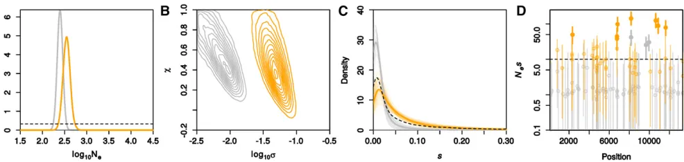 Figure 4 Inferred demography and selection for experimental evolution of inwith thick lines by integrating over the posterior of its parameters