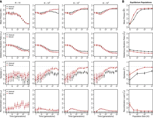Figure 1 Sex has a long-term advantage. (A) Changes in meantime in asexual (black) and sexual (red) populations of various sizesproperties