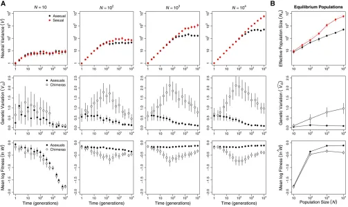 Figure 3 Hill–Robertson interference affected asexual populations of all sizes. (A) Hill–Robertson interference depressed variance at a neutral locus ðVÞin asexual (black) compared to sexual (red) populations (top row)