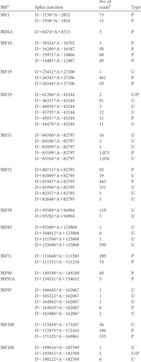 TABLE 1 AngHV1 ORFs transcribed by splicing between protein-coding exons or between 5= UTRs and protein-coding exons