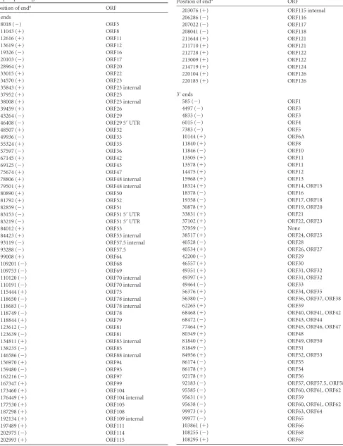 TABLE 2 Locations of 5= and 3= ends of AngHV1 RNAs identiﬁed bydeep sequencing