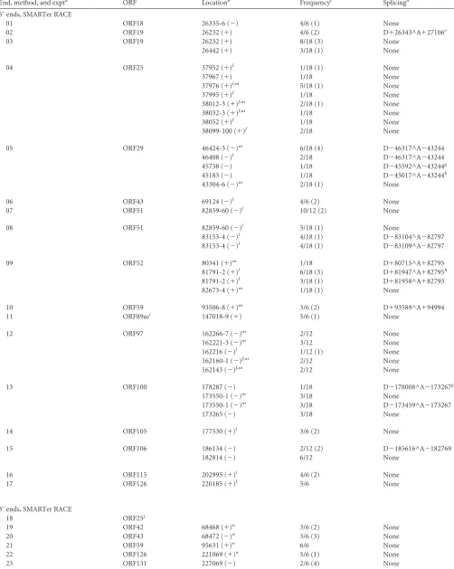 TABLE 3 Locations of 5= and 3= ends of AngHV1 RNAs identiﬁed by RACE