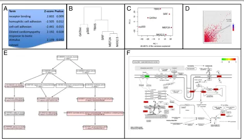 Fig. 2 Example functionality of CompGO using published ChiP-seq data. 1000 BED coordinates were selected at random and form part of the examplecomparison of z-scores with Jaccard Coefficient overlaid (Eq