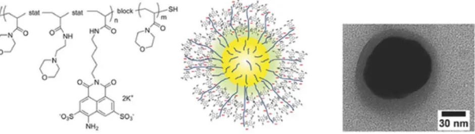 Figure 12. a) Strategy using click chemistry on silica to bind the dyes and control the distance to the metal surface (top) (reproduced with permission from Ref.