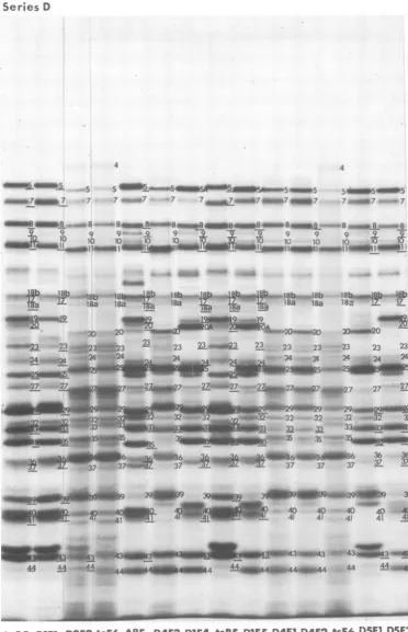 FIG.t~~~~~~~~~~~~~~~~~~35with 10. Autoradiographic images of electrophoretically separated polypeptides labeled in cells infected series D intertypic recombinants from 9 to 10 h postinfection.