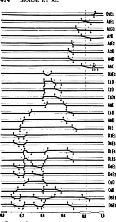 FIG. 11.SmarksunitHSV-2knobssentovertainedases.thetifyandintertypictheThe components Provenance of the DNA sequences in the recombinants used in this study