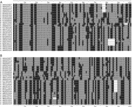 FIG 1 Alignment of zoonotic HEV PPRs. Sequences were aligned in Clustal X2 and adjusted manually