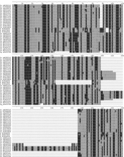 FIG 2 Alignment of complete PPR from genotype 3 and rabbit sequences. Alignment of zoonotic HEV PPRs