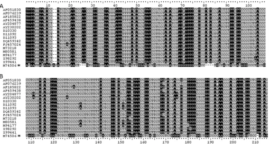 FIG 3 Alignment of anthroponotic HEV PPRs. Sequences were aligned in Clustal X2 and adjusted manually
