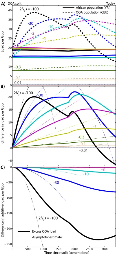 Figure S1 Changes in load after the OOA split model illus-11, 930. (A) Overall genetic load evolution