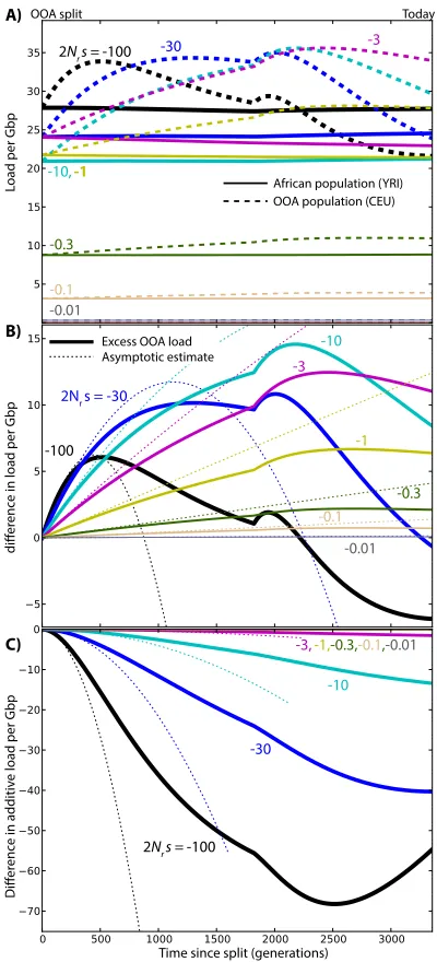Figure S2 Changes in load after the OOA split model il-(C) Differences in additive load