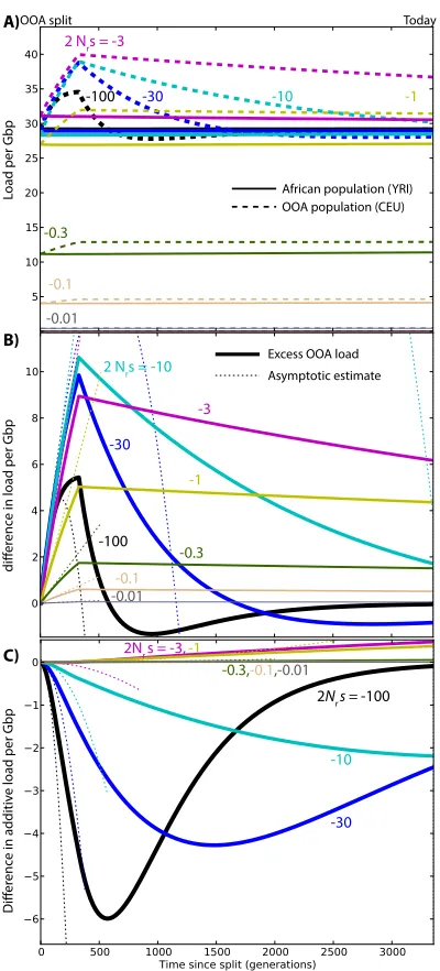 Figure S4 Changes in load after the simple OOA bottleneck(C) Differences in additive load