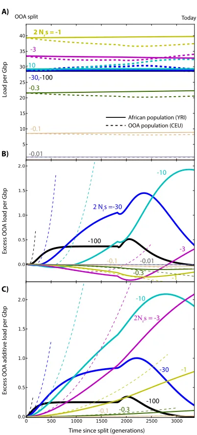 Figure S7 Changes in load after the OOA split model illus-trated in Figure 3A, assuming dominant deleterious variants