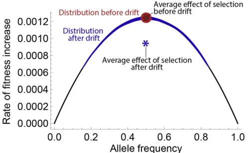 Figure 2 Effect of drift on the rate of adaptation forblue population undergoes one generation of neutral drift, leading toincreased variance in allele frequency