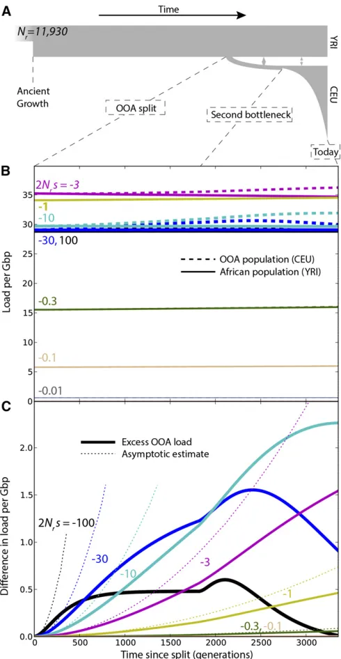 Figure 3 (A) Changes in load after the OOA split model as a function of