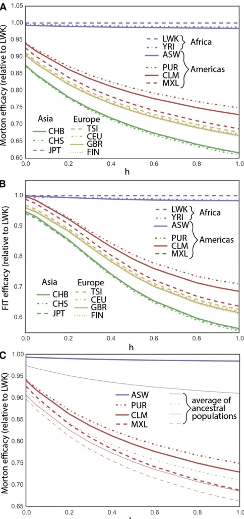 Figure 4 (A) Present-day Morton efﬁcacy of selection for nearly neutral var-iants, estimated from 1000 Genomes Project synonymous variation