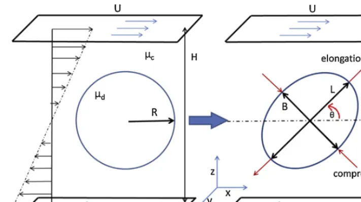 Fig. 1. Schematic illustration of droplet deformation in a simple shear ﬂow.