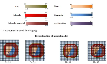 Fig. 4.1 & fig. 4.2: Reconstructed real and imaginary values of complex permittivity of normal model