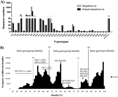 FIG 1 Sequence numbers for different P genotypes and the distribution of pairwise sequence identity of rotavirus VP8* proteins