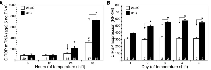 Figure 1 Expression of2, 3, 4, and 5 days of the temperature shift. Sample sizes in bars indicate the number of individual embryos (A) or pooled samples (B) in each26.5 CIRBP mRNA increased in gonads of snapping turtle embryos shifted from 26.5� to 31�, bu