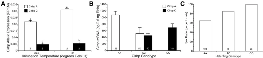 Figure 4 Allele-speciprobes were used to measuregenotype and sampling day as main effects and 18S rRNA as a covariate