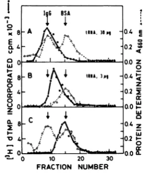 FIG. 1.gation40scriptasescribedreverseatverse 660 units Binding of tRNA to Moloney MuLV re- transcriptase