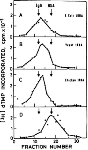 FIG. 2.MoloneytRNA Dissociationofreversetranscriptase- complexes by RNaseA. Binding reactions with MuLV reverse transcriptase (40 units) and